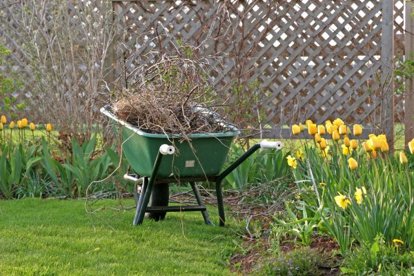 Flower Bed Cleanup Service in Spring