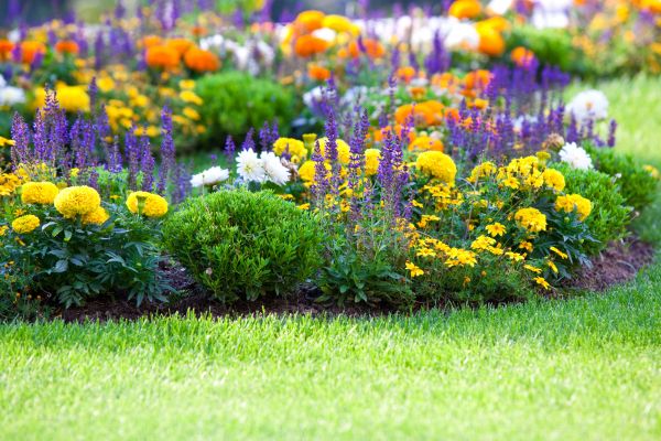 Flower Bed Maintenance in Spring