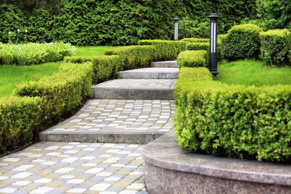 Backyard Remodeling in Spring