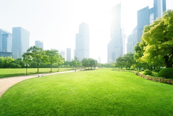 Commercial Landscape Maintenance in Spring