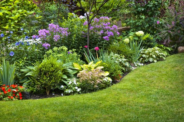 Flower Bed Service in Spring