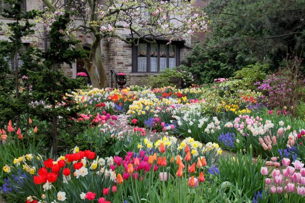 Garden Maintenance Service in Spring