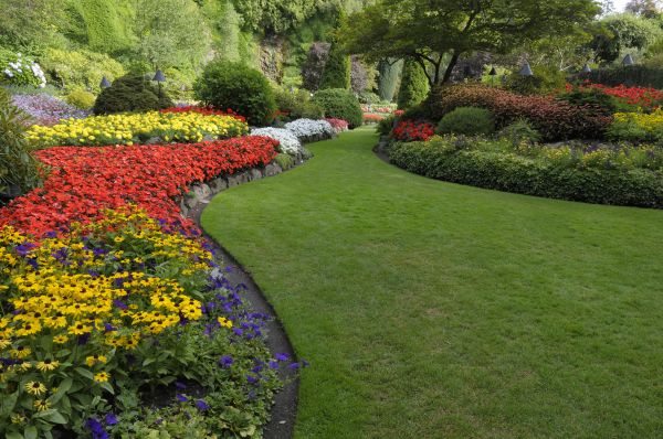 Landscaping Maintenance in Spring