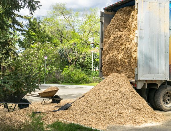 Wood Chips Delivery in Spring