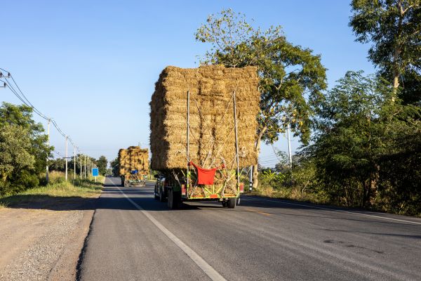 Pine Straw Delivery in Spring