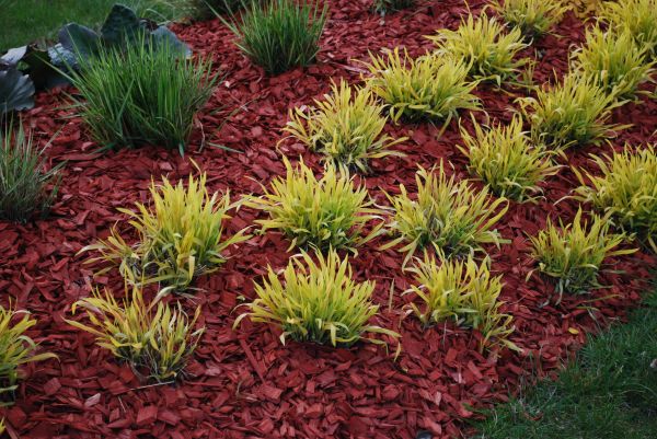 Mulch Landscaping in Spring