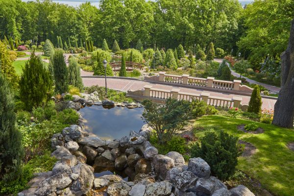 Landscape Architecture Service in Spring