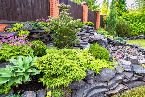 Landscape Remodeling in Spring
