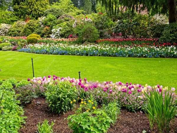 Residential Landscape Design in Spring