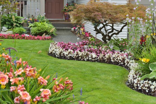 Perennial Landscaping in Spring