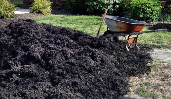 Black Mulch Installation in Spring