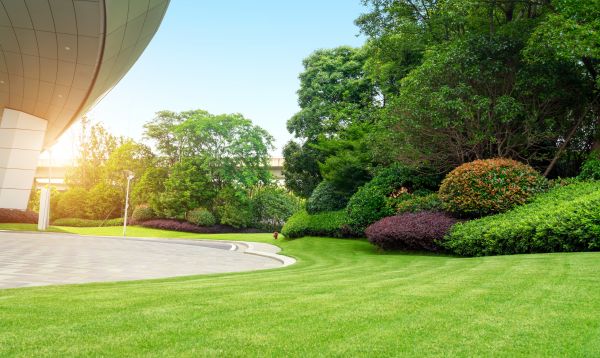 Business Landscape Design in Spring