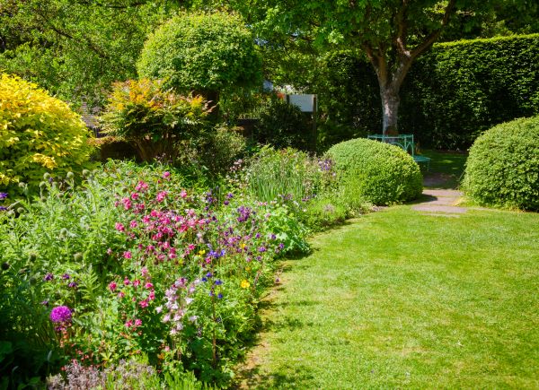 Yard Landscaping Service in Spring