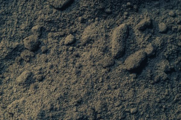 Loam Delivery in Spring