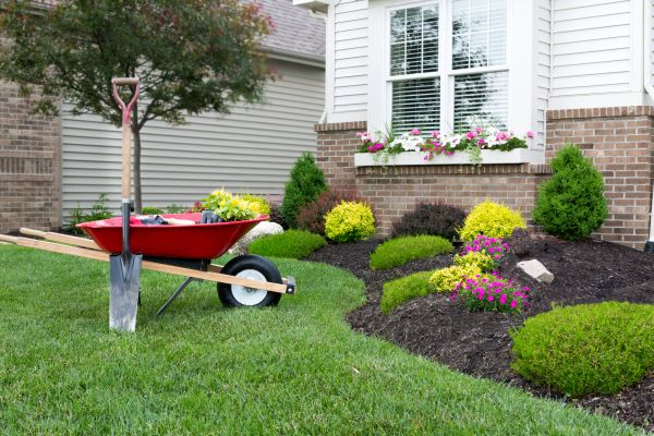 Tree And Shrub Planting in Spring
