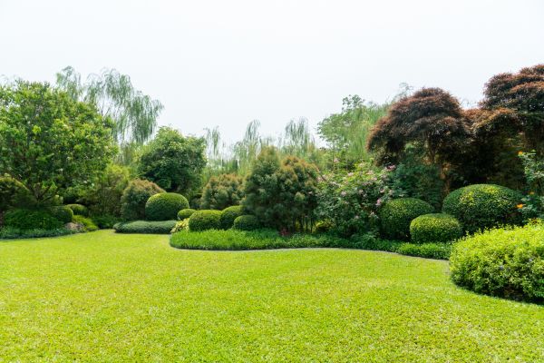 Tree Landscaping in Spring
