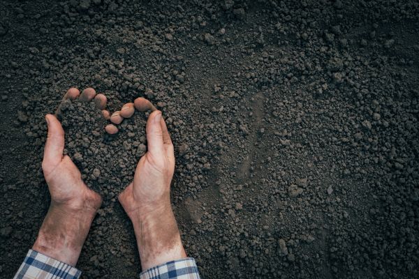Soil Installation in Spring