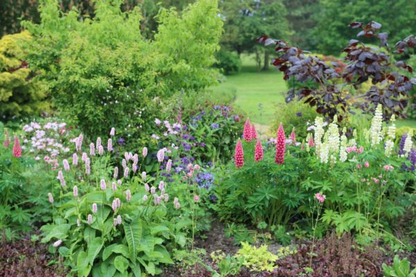 Flower Bed Planting in Spring