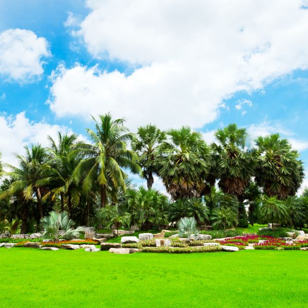 Tropical Landscaping in Spring