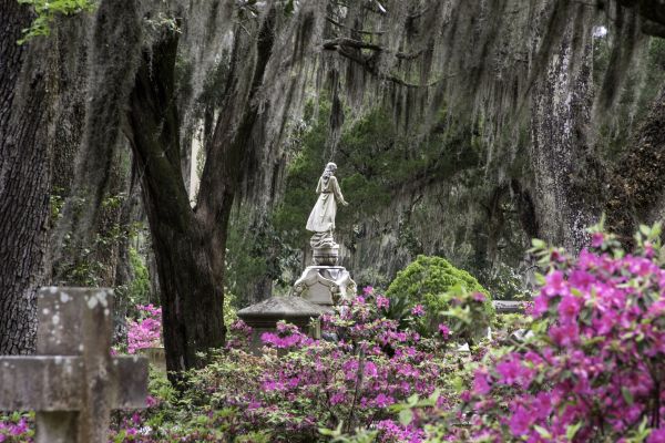 Cemetery Landscaping in Spring