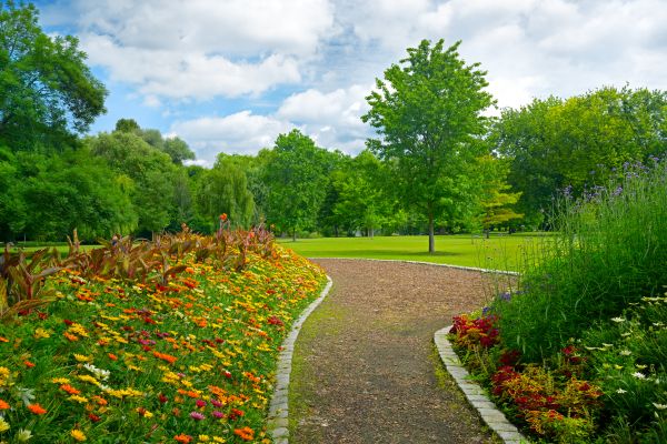Park Landscaping in Spring