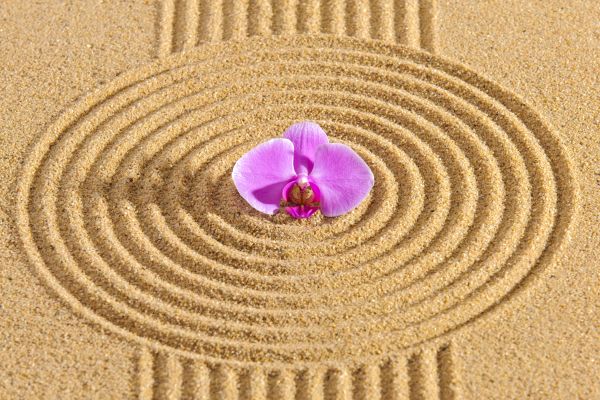 Sand Garden Landscaping in Spring