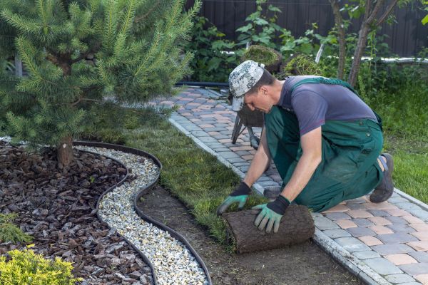Landscaping Modification in Spring