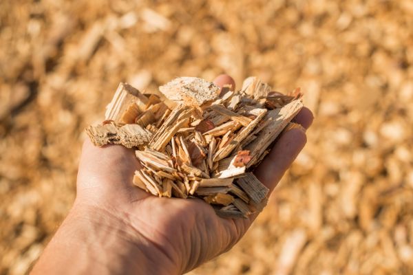 Wood Chips Spreading in Spring