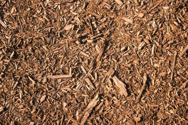 Wood Chips Removal in Spring