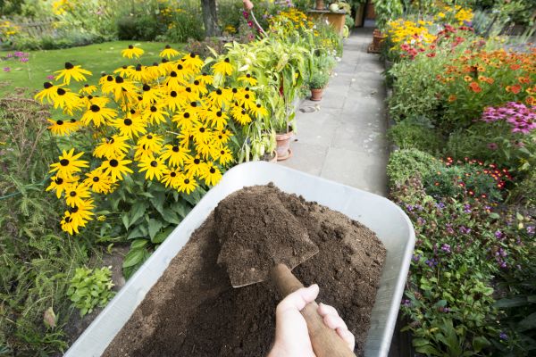 Topsoil Replacement in Spring