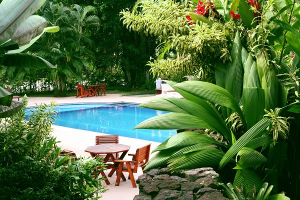 Pool Area Landscaping in Spring