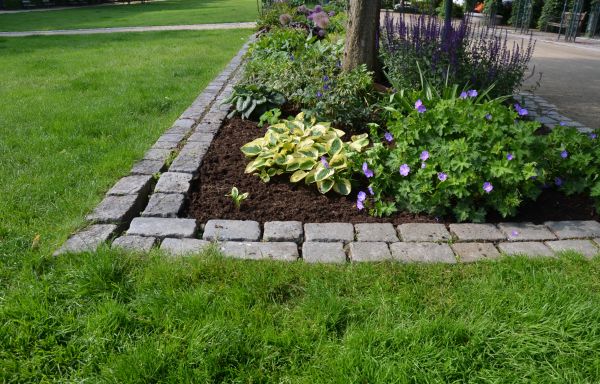 Flower Bed Mulching in Spring