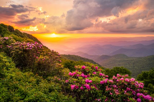 Hill Landscaping in Spring