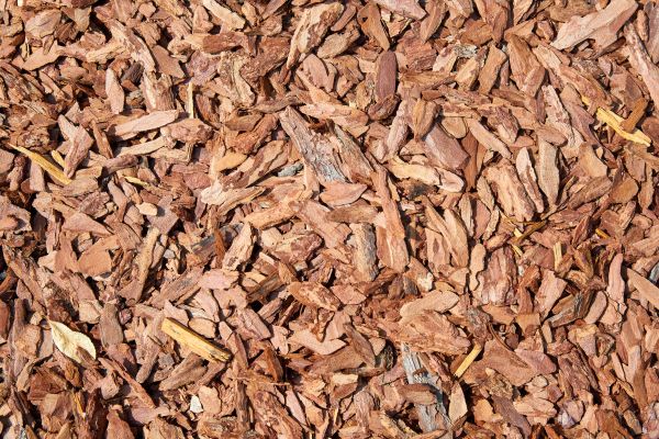Pine Mulch Spreading in Spring