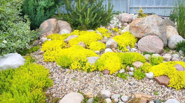 Landscape Rock Design