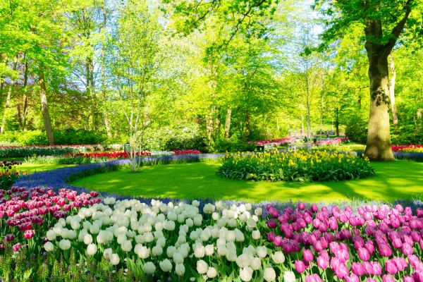 Flower Landscaping in Spring