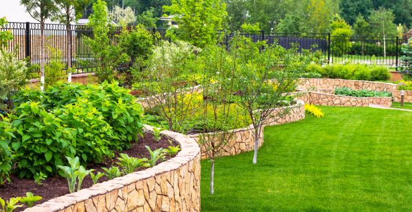 Yard Makeover Service in Spring
