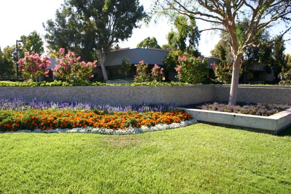 Commercial Landscape Service in Spring