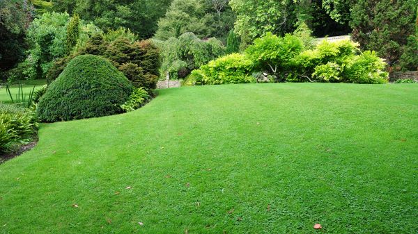 Commercial Landscape Design in Spring