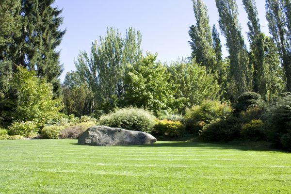 Yard Enlargement in Spring