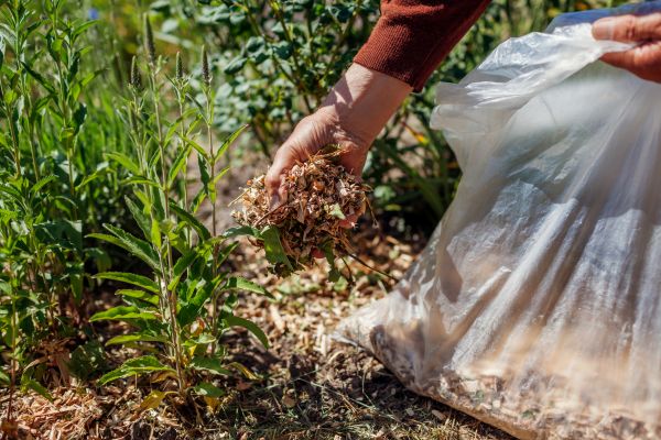 Wood Mulch Installation in Spring