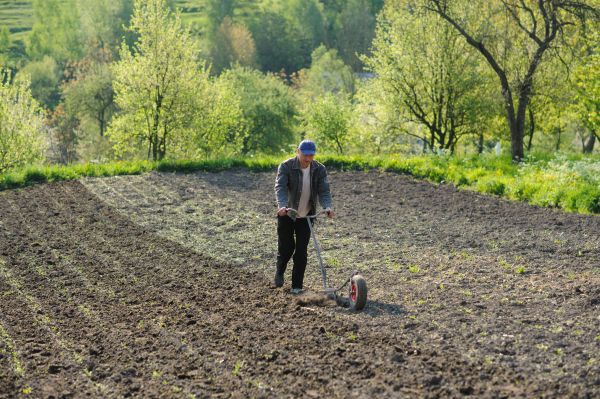 Plant Bed Weeding in Spring