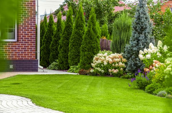 Spring Landscaping in Spring
