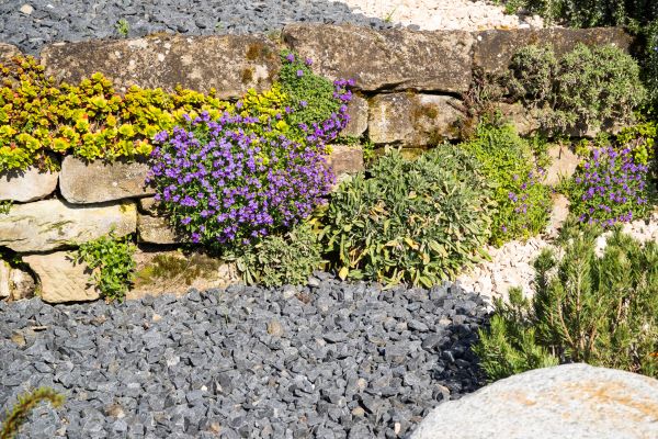 Landscaping Rocks Installation in Spring