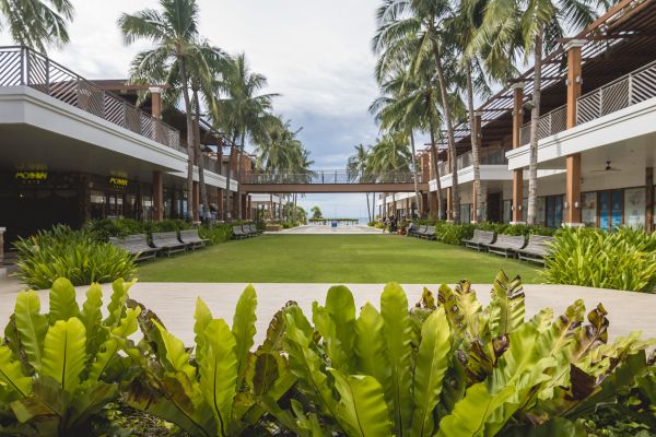Commercial Lawn Renovation in Spring