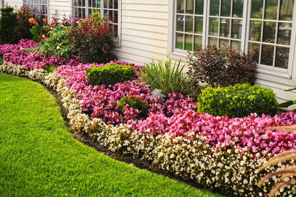 Garden Landscape Design in Spring
