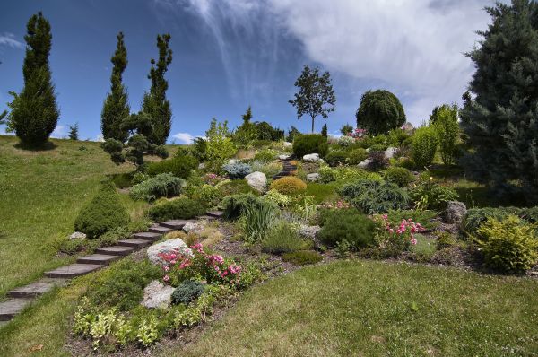 Steep Terrain Landscaping in Spring