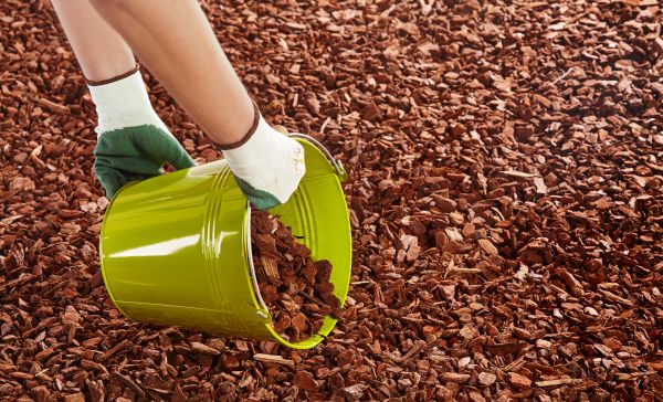 Wood Chip Landscaping in Spring