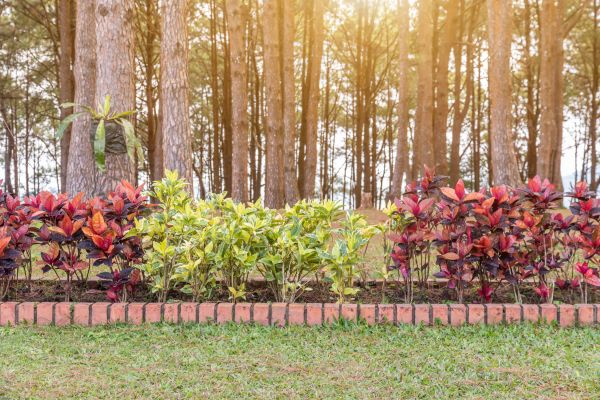 Small Garden Landscaping in Spring