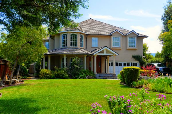 Large Yard Landscaping in Spring